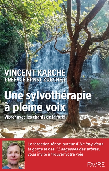 Une sylvothérapie à pleine voix - vibrer avec les chants de la forêt - Image principale