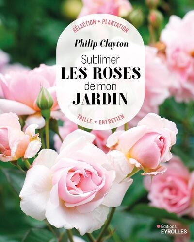 Sublimer les roses de mon jardin - Image principale