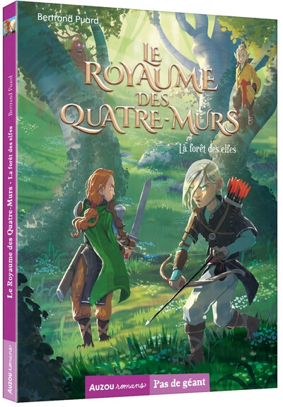 Le royaume des quatre-murs - la forêt des elfes - Image principale