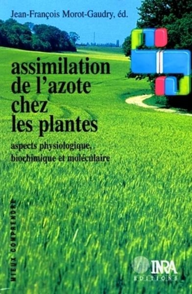 Assimilation de l'azote chez les plantes - Image principale