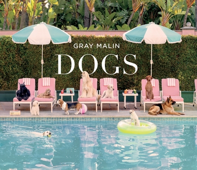 Dogs - Image principale