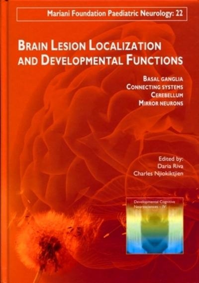 Brain lesion localization and developmental functions - Image principale
