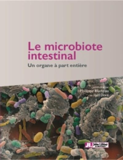 Le microbiote intestinal - Image principale