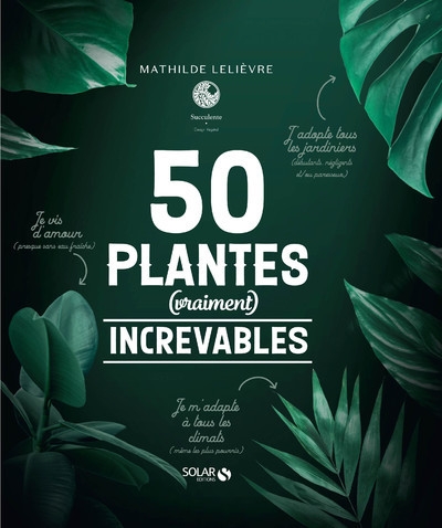 50 plantes (vraiment) increvables - Image principale