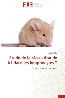 Etude de la régulation de a1 dans les lymphocytes t - Image principale