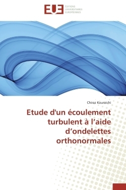 Etude d'un écoulement turbulent à l'aide d'ondelettes orthonormales - Image principale