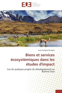 Biens et services écosystémiques dans les études d'impact - Image principale