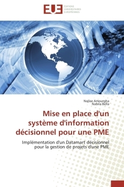 Mise en place d'un système d'information décisionnel pour une pme - Image principale