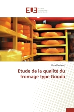 Etude de la qualité du fromage type gouda - Image principale