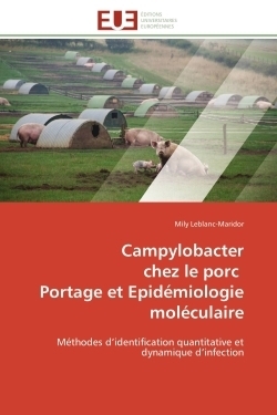Campylobacter chez le porc portage et epidémiologie moléculaire - Image principale