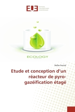 Etude et conception d'un réacteur de pyro-gazéification étagé - Image principale