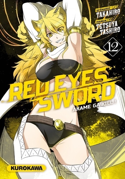 Red eyes sword - akame ga kill ! - tome 12 - Image principale