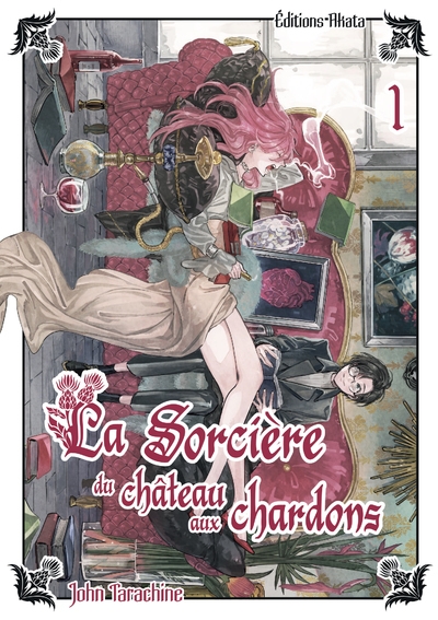 La sorcière du château aux chardons - tome 1 - Image principale