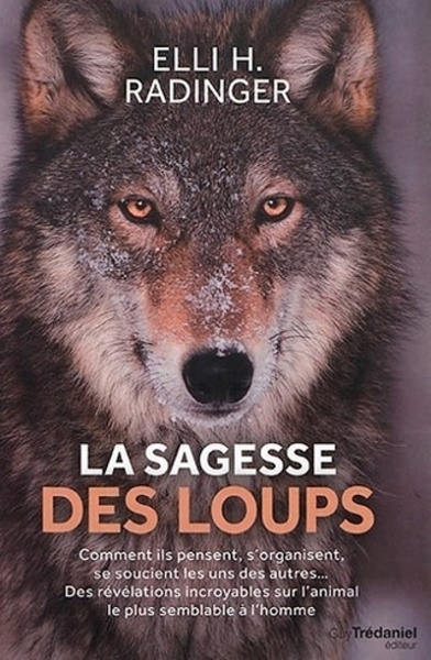 La sagesse des loups - Image principale