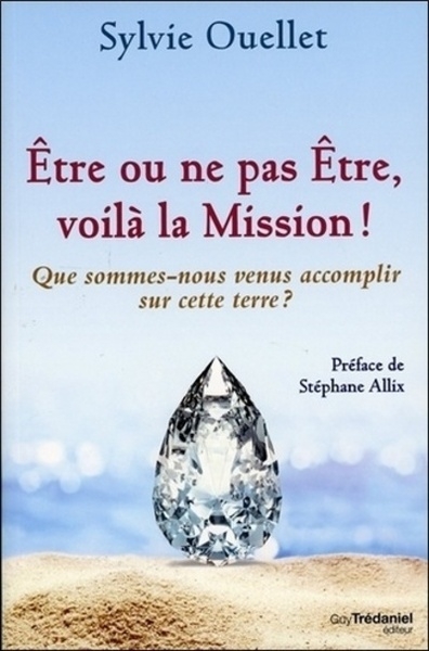 Etre ou ne pas être, voilà la mission ! - Image principale