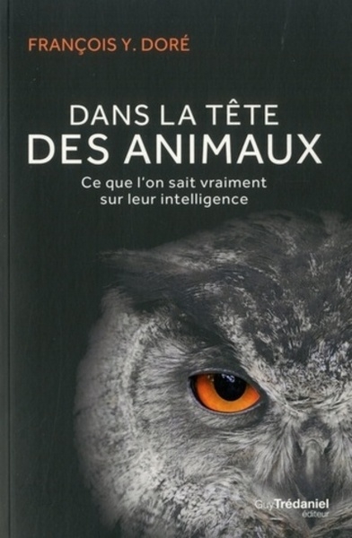 Dans la tête des animaux - Image principale