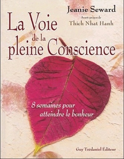 La voie de la pleine conscience - Image principale