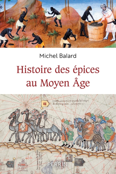 Histoire des épices au moyen-âge - Image principale