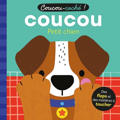 Coucou-caché - coucou petit chien - Image principale