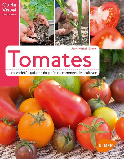 Tomates. les variétés qui ont du goût et comment les cultiver - Image principale