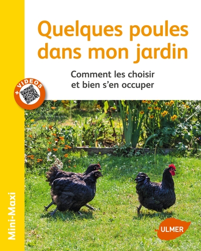 Quelques poules dans mon jardin. comment les choisir et bien s'en occuper - Image principale