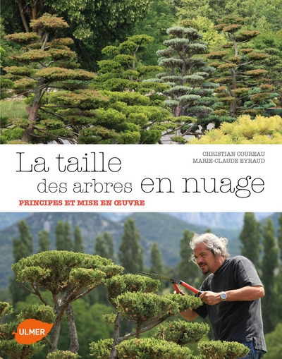 La taille des arbres en nuage - Image principale