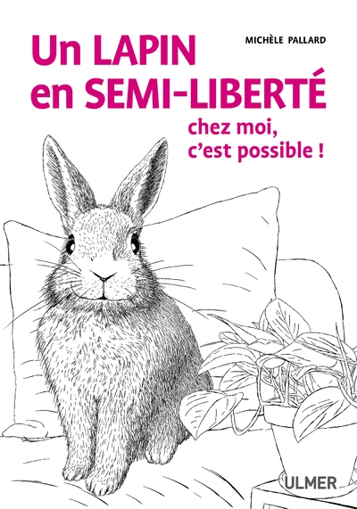 Un lapin en semi-liberté chez moi, c'est possible ! - Image principale