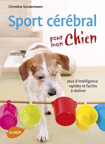 Sport cérébral pour mon chien - Image principale