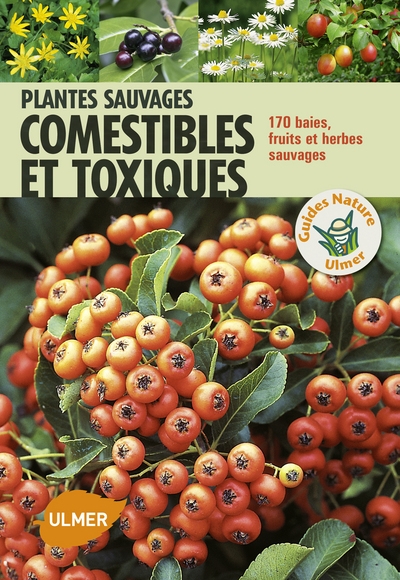 Plantes sauvages comestibles et toxiques - Image principale