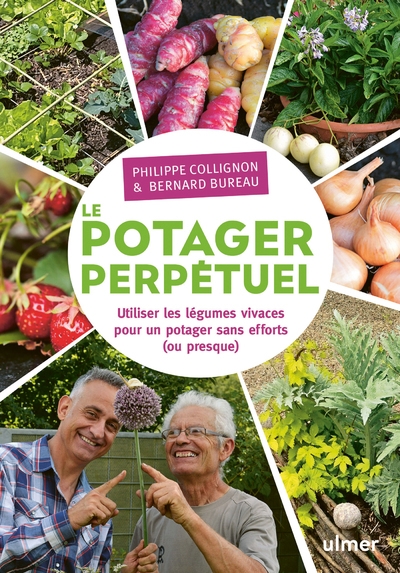 Le potager perpétuel. utiliser les légumes vivaces pour un potager sans effort (ou presque) - Image principale