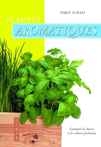 Plantes aromatiques. comment les choisir et les cultiver facilement - Image principale