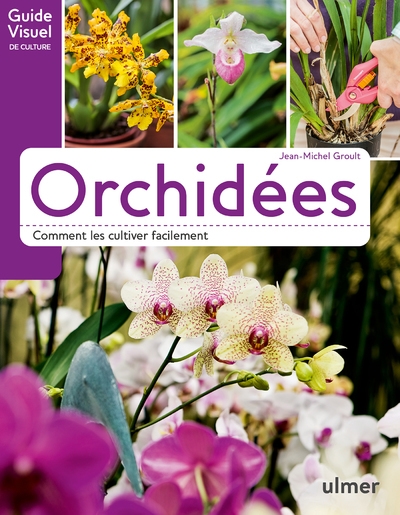 Orchidées - comment les cultiver facilement - Image principale