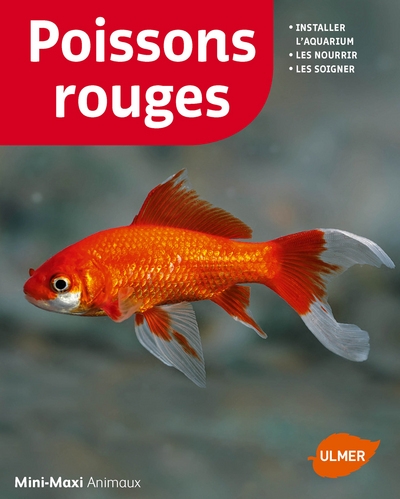 Poissons rouges (ne) - Image principale