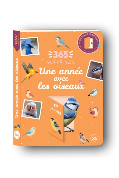 365 surprises - une année avec les oiseaux - Image principale