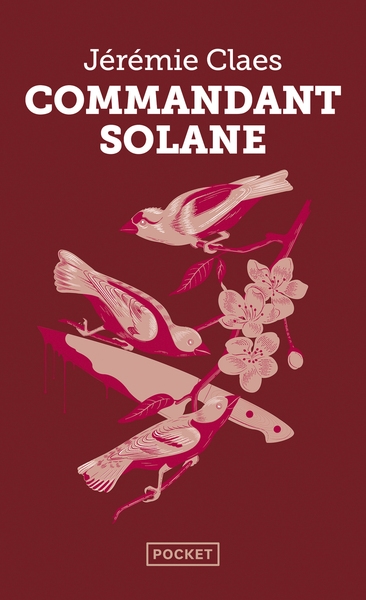 Commandant solane - Image principale