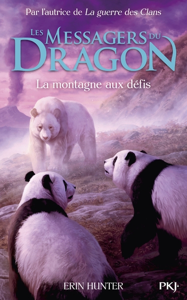 Les messagers du dragon, cycle 1 - tome 3 la montagne aux défis - Image principale