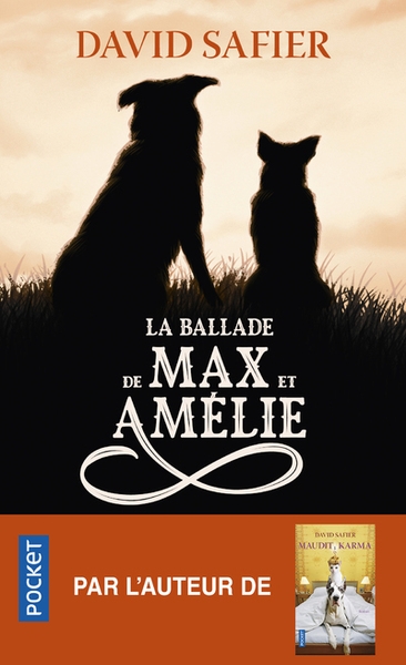 La ballade de max et amélie - Image principale