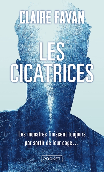 Les cicatrices - Image principale