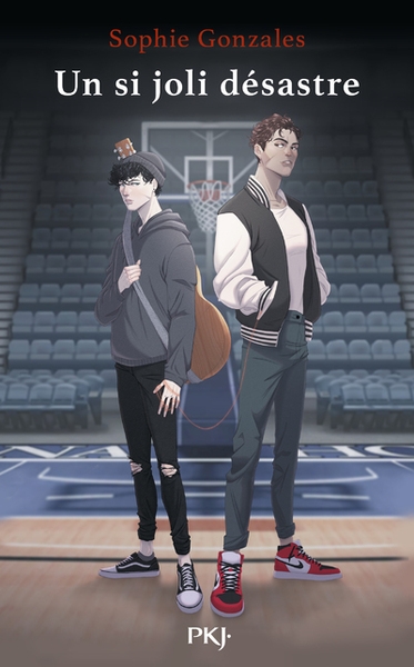 Un si joli désastre - Image principale