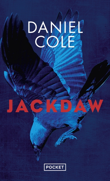 Jackdaw - Image principale