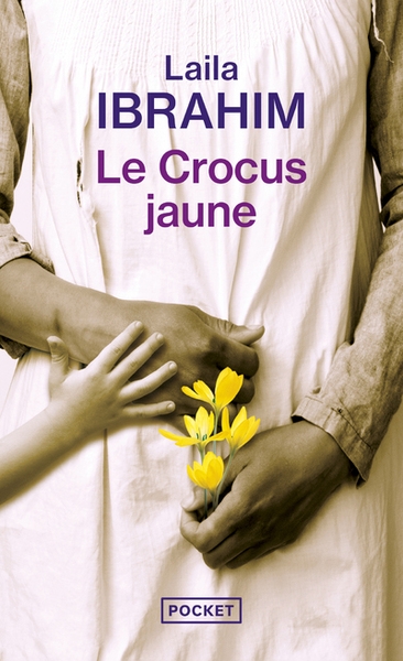 Le crocus jaune - Image principale