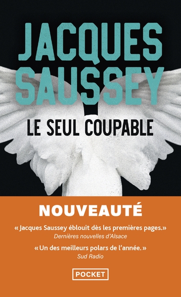 Le seul coupable - Image principale