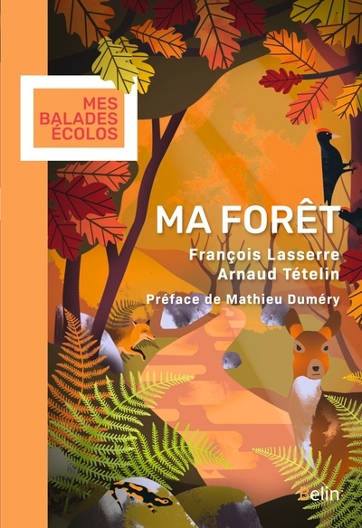 Ma forêt - Image principale