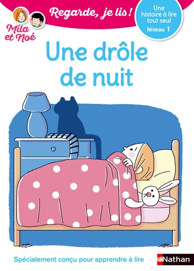 Une drôle de nuit - niveau 1 - regarde je lis ! - Image principale