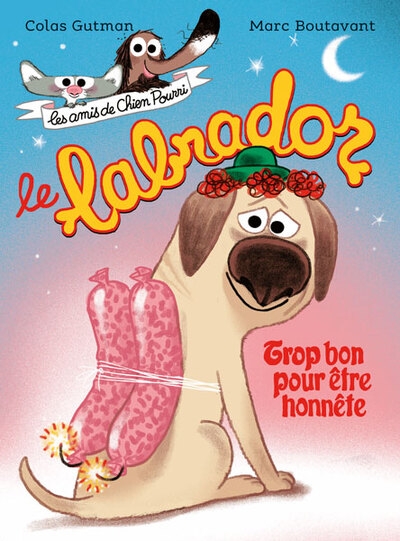 Le labrador - Image principale