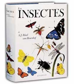 Les insectes - Image principale