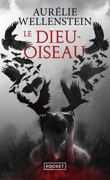 Le dieu oiseau - Image principale