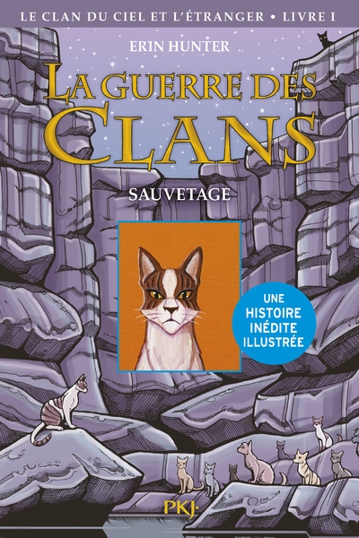 La guerre des clans illustrée - cycle iv le clan du ciel et l'étranger - tome 1 sauvetage - Image principale