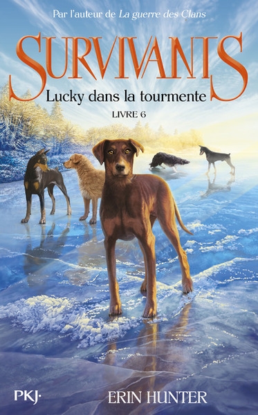 Survivants - tome 6 lucky dans la tourmente - Image principale