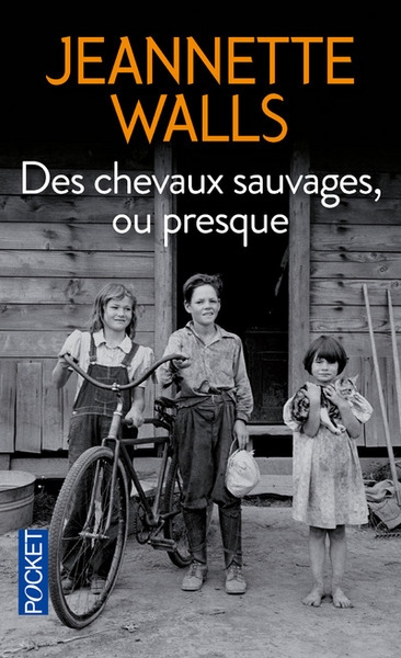 Des chevaux sauvages, ou presque - Image principale